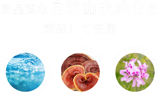 高品質な自然由来成分を厳選して使用, Tanacetum Annuum Flower Oil, β-glucan, Pelargonium Graveolens Flower